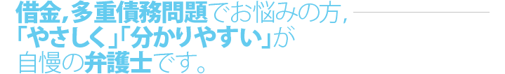 借金，多重債務問題でお悩みの方，「やさしく」「分かりやすい」が自慢の弁護士です。